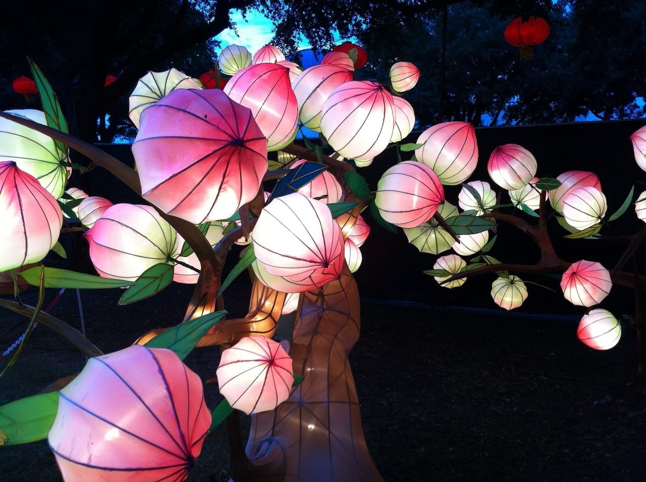 Chinese Lantern Exhibit at the Texas Fair.